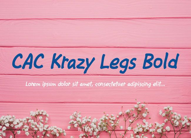 CAC Krazy Legs Bold example