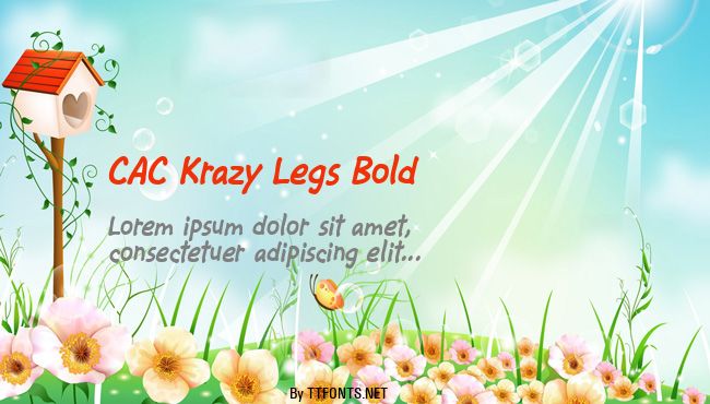 CAC Krazy Legs Bold example