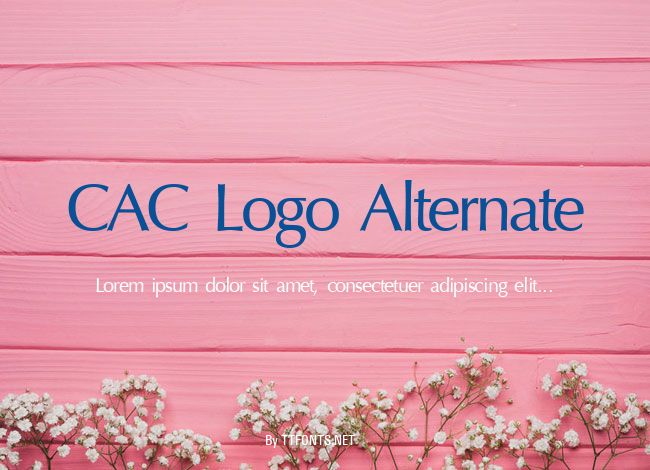 CAC Logo Alternate example