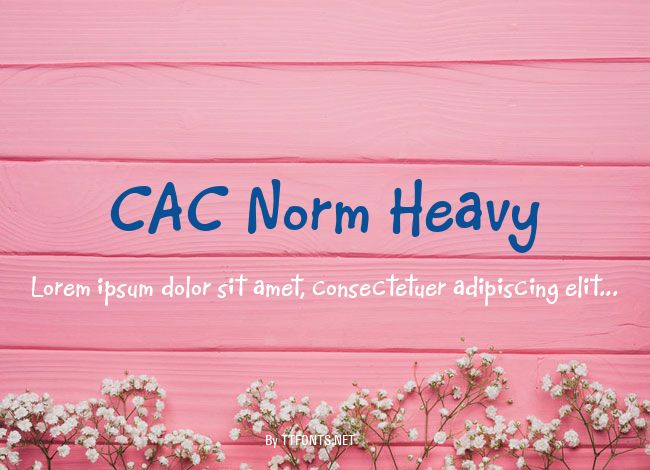 CAC Norm Heavy example