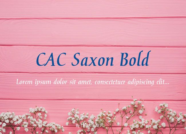 CAC Saxon Bold example