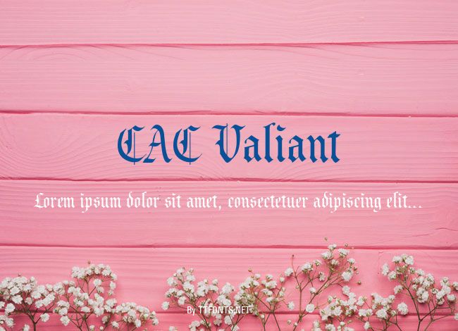 CAC Valiant example