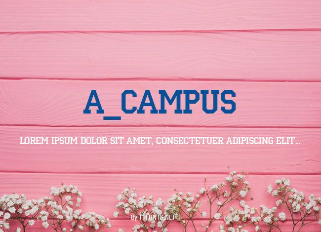 a_Campus example