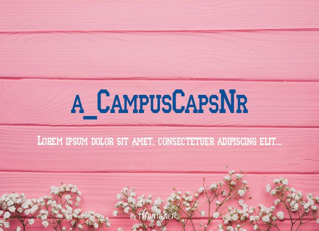 a_CampusCapsNr example