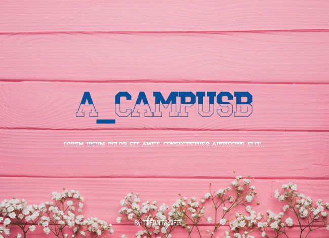 a_CampusB&W example