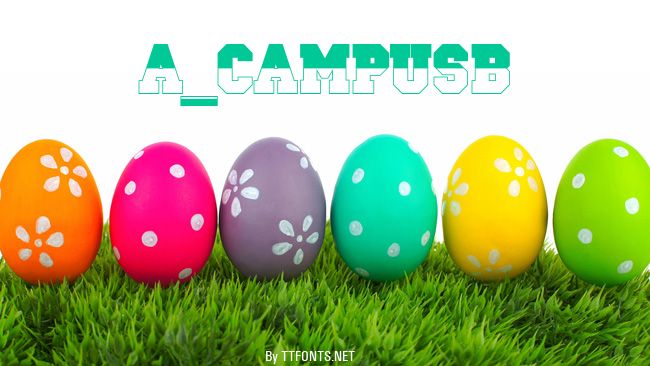 a_CampusB&W example