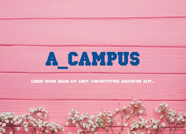 a_Campus example