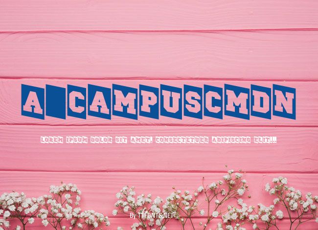 a_CampusCmDn example