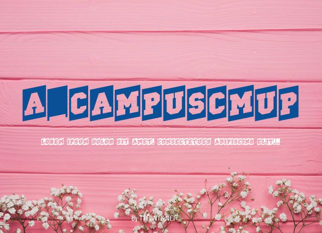 a_CampusCmUp example