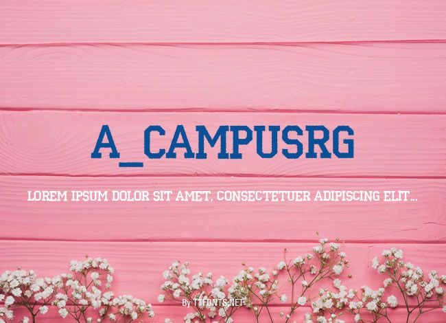 a_CampusRg example