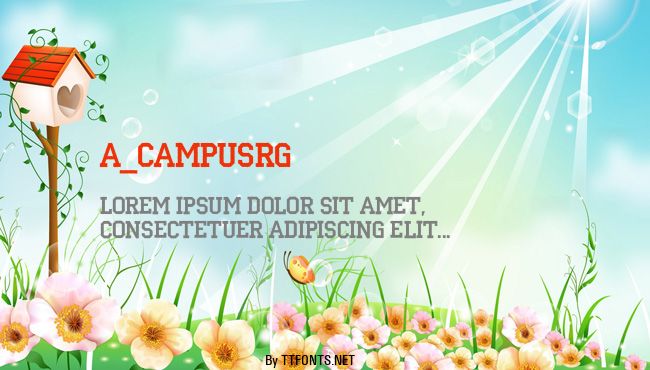 a_CampusRg example