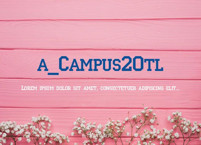 a_Campus2Otl example