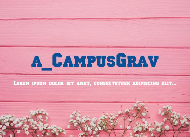 a_CampusGrav example