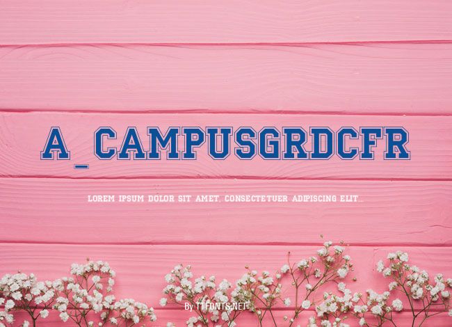 a_CampusGrDcFr example
