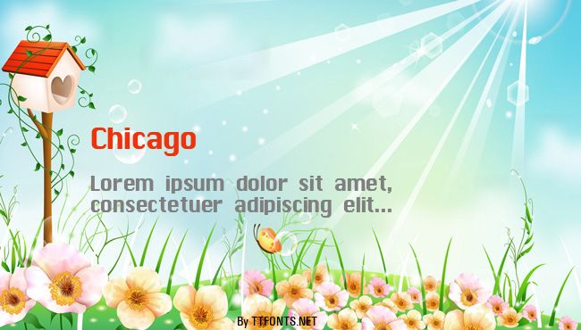 Chicago example