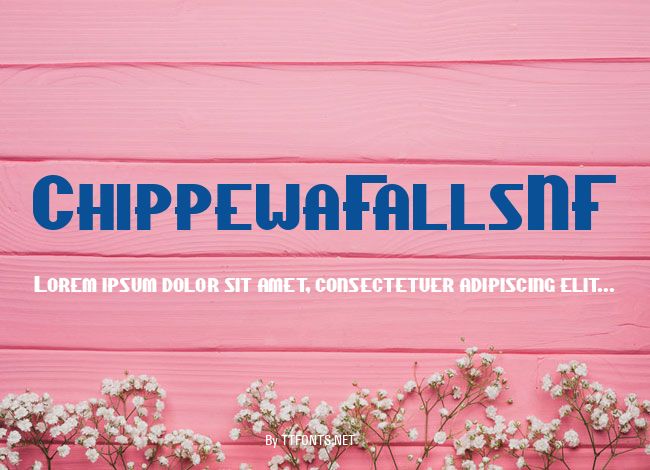 ChippewaFallsNF example