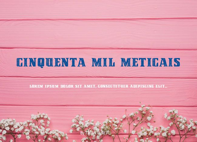 Cinquenta Mil Meticais example