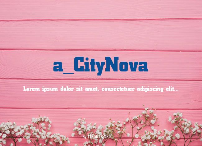 a_CityNova example