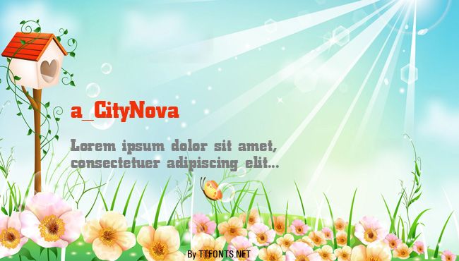 a_CityNova example