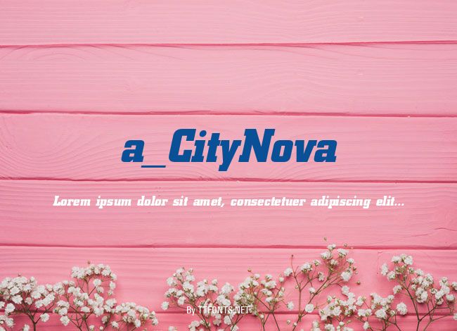 a_CityNova example