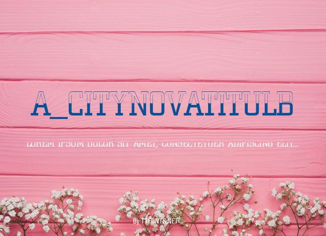 a_CityNovaTitulB&WLt example