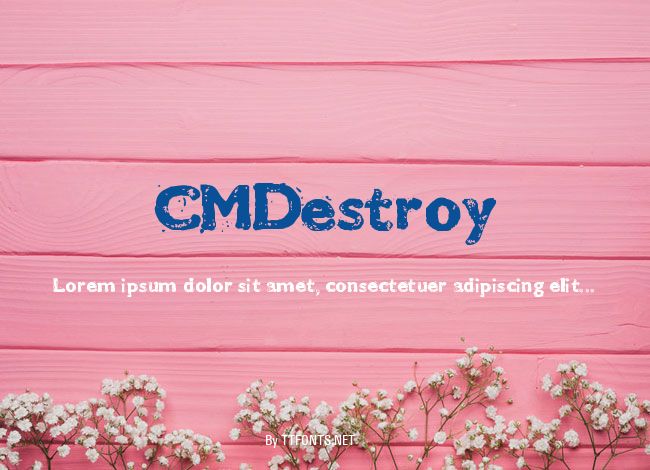 CMDestroy example