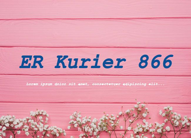 ER Kurier 866 example