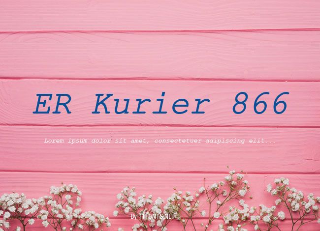 ER Kurier 866 example