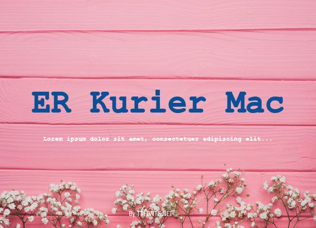 ER Kurier Mac example