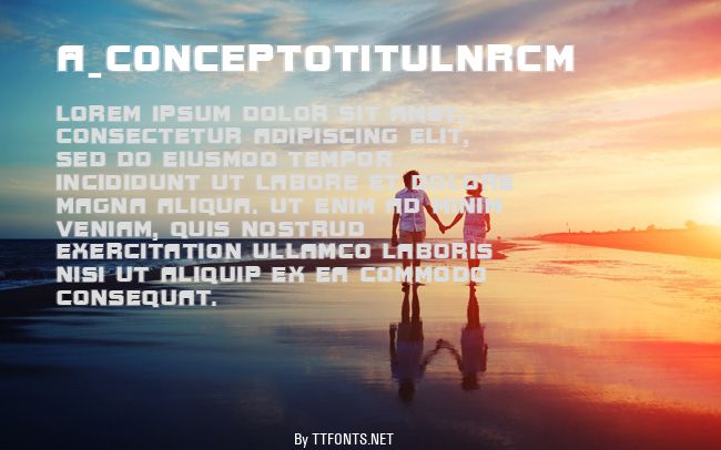 a_ConceptoTitulNrCm example