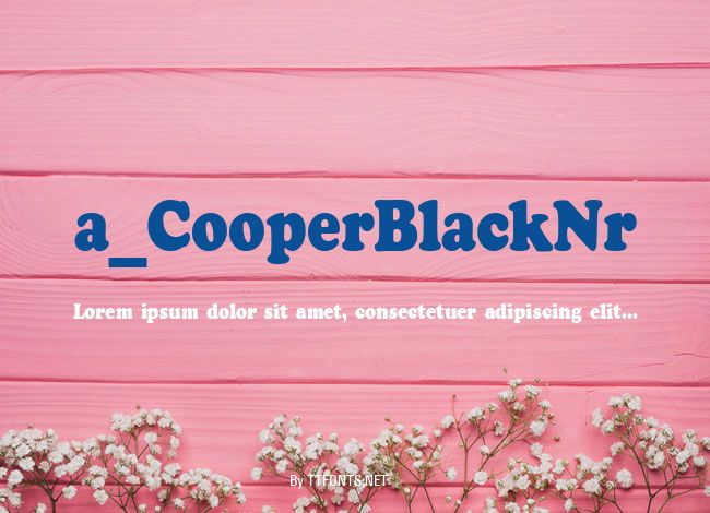 a_CooperBlackNr example