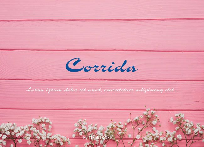Corrida example
