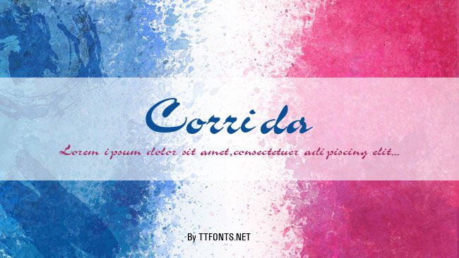 Corrida example