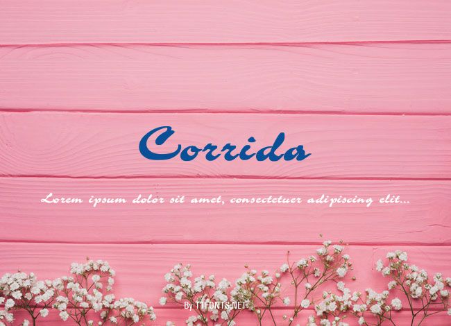 Corrida example