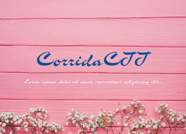 CorridaCTT example