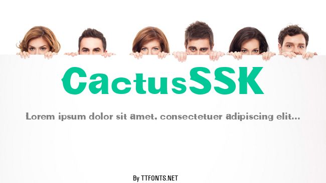 CactusSSK example