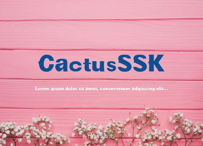CactusSSK example