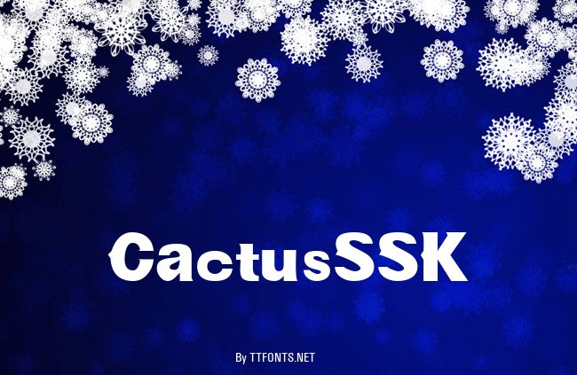 CactusSSK example