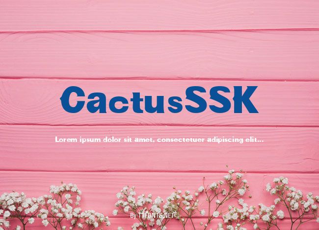 CactusSSK example