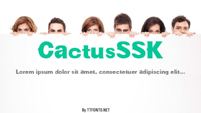 CactusSSK example