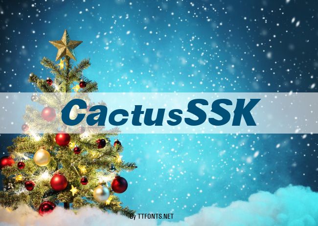 CactusSSK example