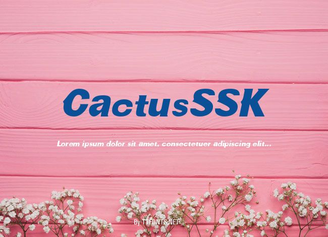 CactusSSK example