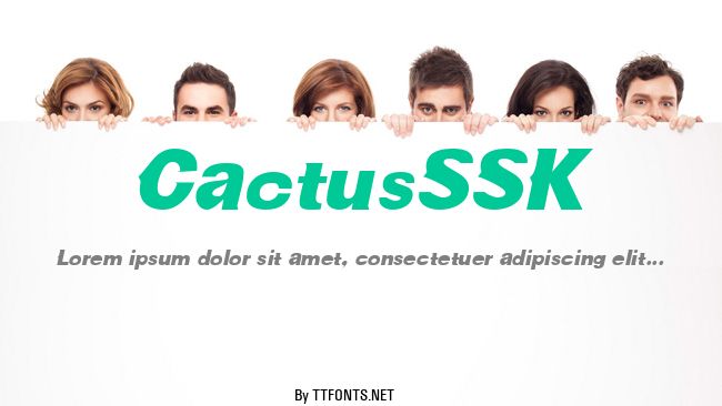 CactusSSK example