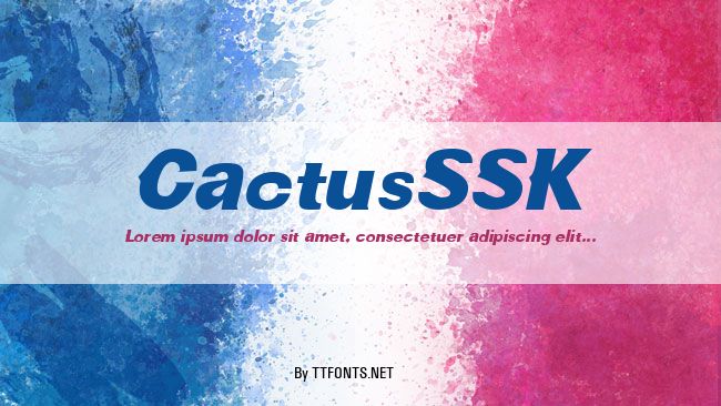 CactusSSK example