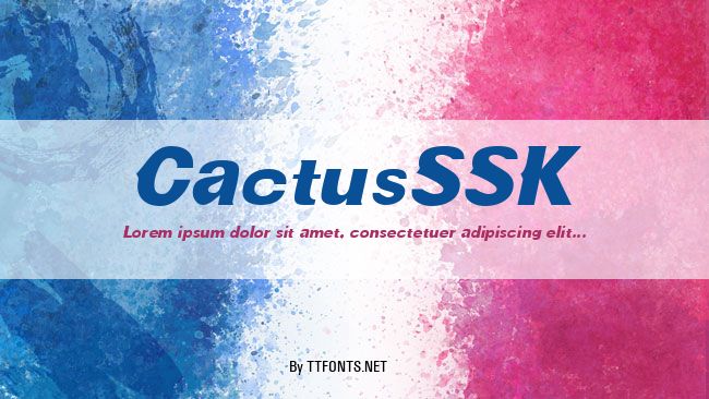 CactusSSK example