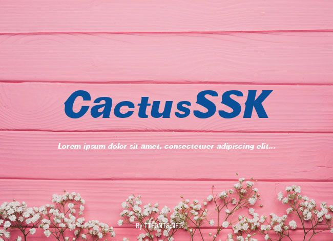 CactusSSK example