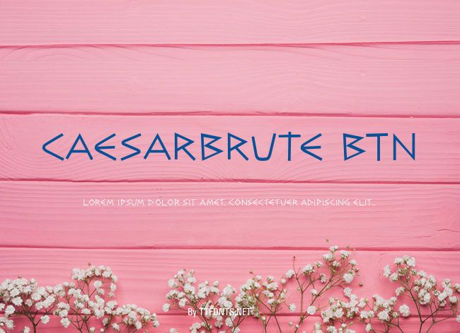 CaesarBrute BTN example