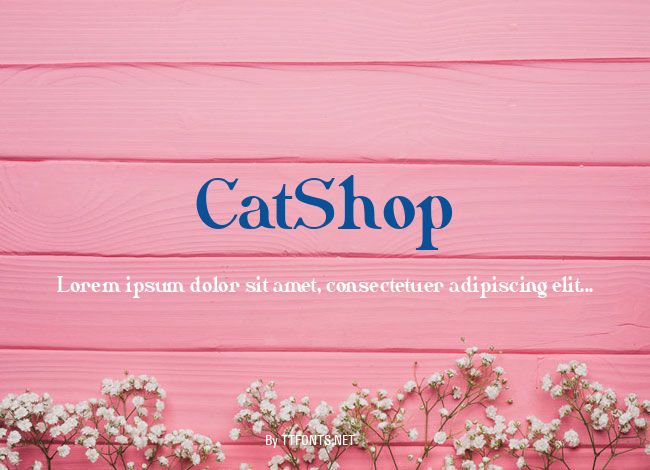 CatShop example