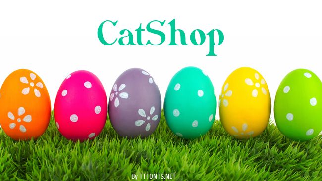 CatShop example