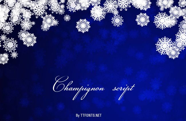 Champignon script example